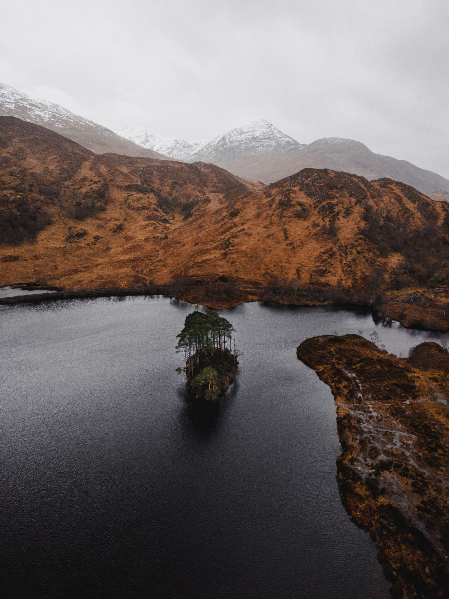 Vista aérea con drone de un islote de pinos en un lago rodeado de montañas nevadas